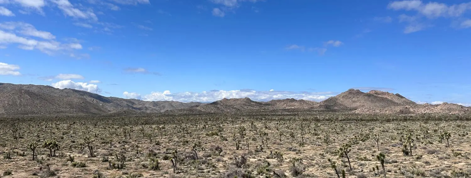 A photo of the cracked, brown, and tan ground at Joshua Tree National Park, with mountains in the far background, all under a blue sky. Fluffy white clouds peek at the edges.